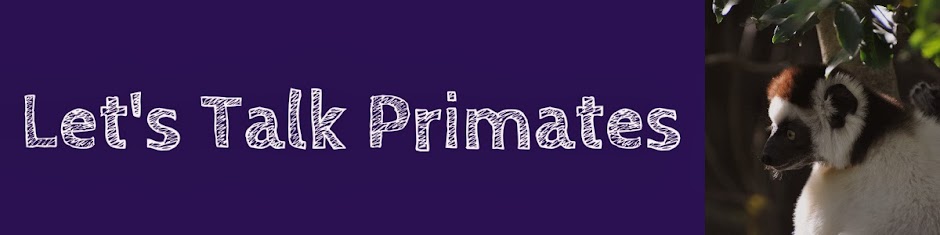 Let's Talk Primates: What is an ecological niche?